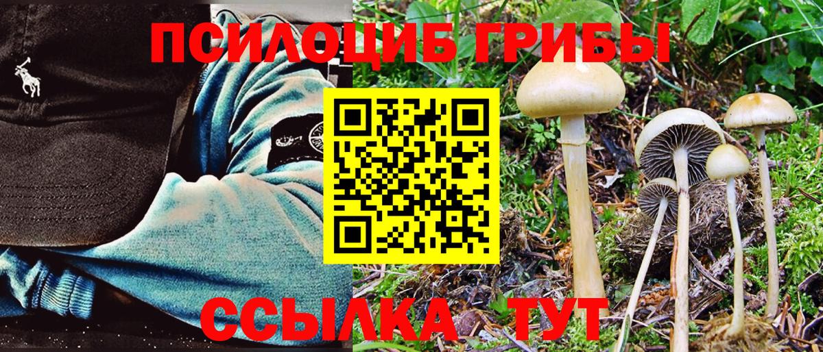 Галлюциногенные грибы Psilocybine cubensis  Вход с VPN  Галлюциногенные грибы мицелий  Нефтеюганск 